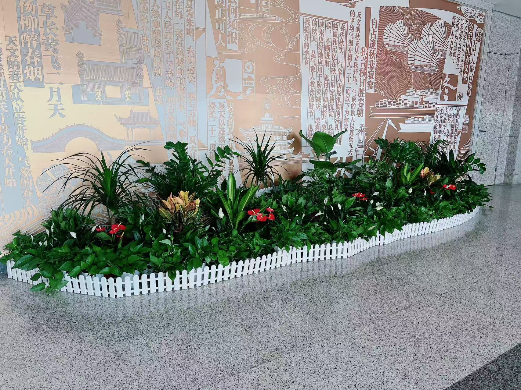 想让慈溪办公室焕发生机？绿植出租来助力